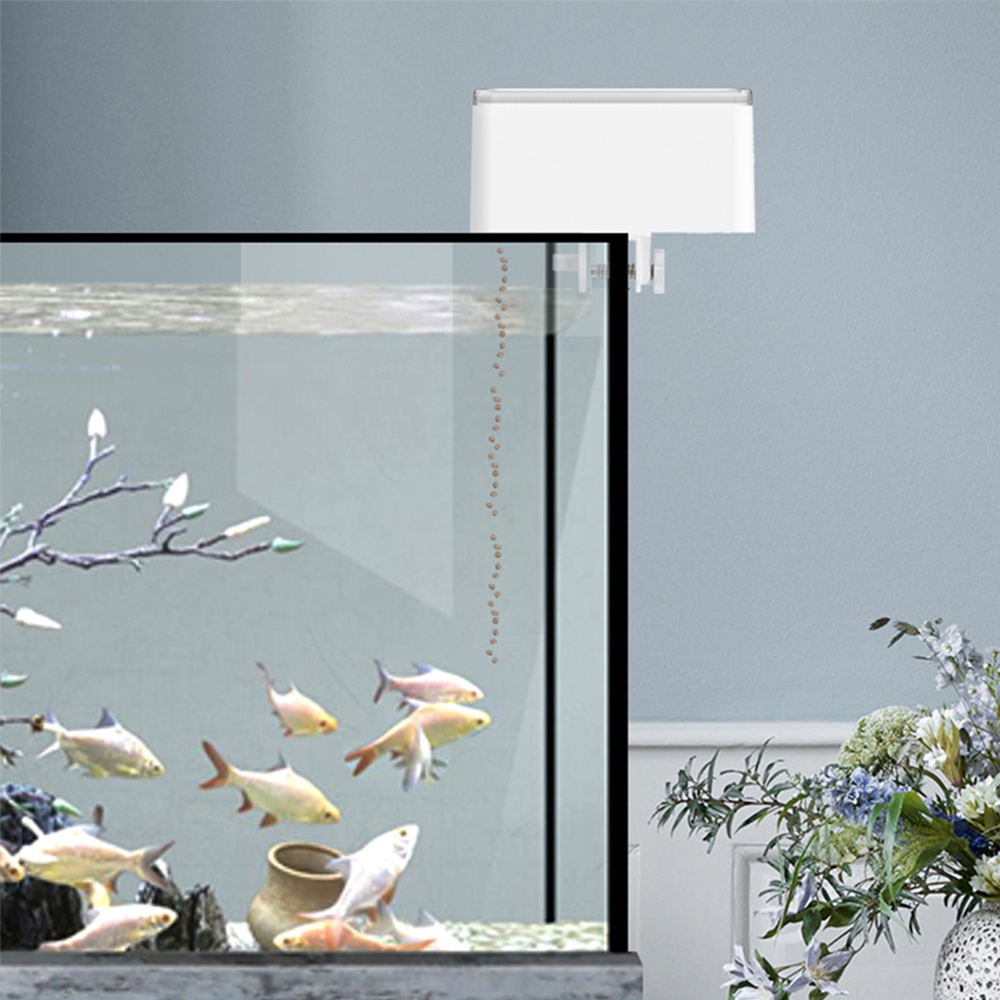 Small Fish Automatic Feeder Sm – Fishing Line Dispenser recenzja i cena